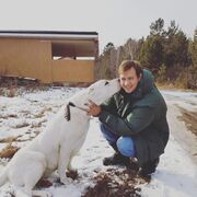 ���������� �������, ���� ������� �����, 36 ���, ������������ ��� ������, ����� � ���������, c�������� ���������