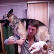 ���������� ������, ���� ������� ��������, 43 ����, ������������ ��� ������, ����� � ���������, c�������� ���������