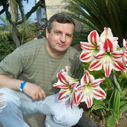 ���������� ������, ���� ������� �����, 68 ���, ������������ ��� ������