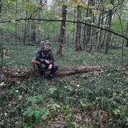 ���������� ������, ���� ������� ������, 37 ���, ������������ ��� ������, ����� � ���������, c�������� ���������