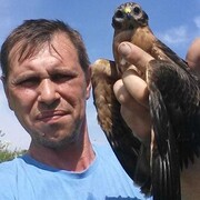 ���������� ������ ��������, ���� ������� ������, 47 ���, ������������ ��� ������, ����� � ���������