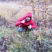  ,    , 31 ,   