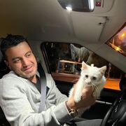 ���������� ������, ���� ������� �����, 40 ���, ������������ ��� ������, ����� � ���������