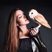  ,   , 34 ,  