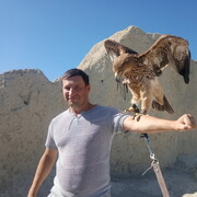 ���������� ������������, ���� ������� ����, 43 ����, ������������ ��� ������, ����� � ���������, c�������� ���������