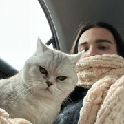 ���������� Phanom, ���� ����� ������, 24 ����, ������������ ��� ������, ����� � ���������