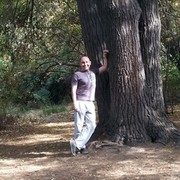 ���������� ������, ���� ������� ����� ������, 46 ���, ������������ ��� ������, ����� � ���������, c�������� ���������