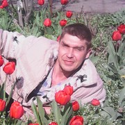  ,   Semen, 50 ,   