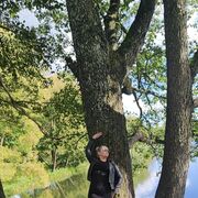 ���������� �����, ���� ������� ���, 36 ���, ������������ ��� ������, ����� � ���������, c�������� ���������