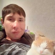 ���������� ������-���, ���� ������� �������, 36 ���, ������������ ��� ������, ����� � ���������, c�������� ���������