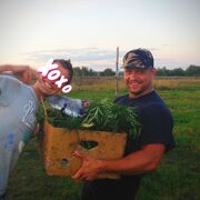 ���������� ������, ���� ������� LION HEART, 28 ���, ������������ ��� ������, ����� � ���������