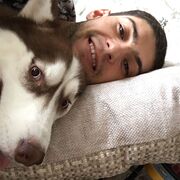 ���������� ��������, ���� ������� ����, 27 ���, ������������ ��� ������, ����� � ���������, c�������� ���������, ���������