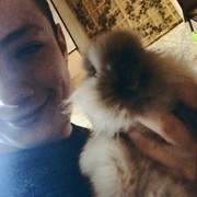 ���������� �����, ���� ������� ����, 28 ���, ������������ ��� ������, ����� � ���������, c�������� ���������