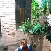  ,   , 44 ,     , c 