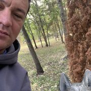 ���������� �������, ���� ������� �������, 50 ���, ������������ ��� ������, ����� � ���������, c�������� ���������