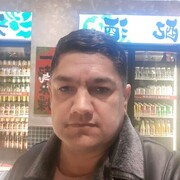  ,   ZIYO, 41 ,   ,   , c 