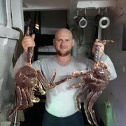  ,   , 48 ,   ,   