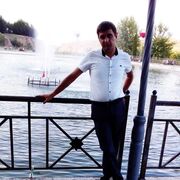 ���������� ����, ���� ������� �����, 38 ���, ������������ ��� ������, ����� � ���������