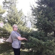  ,   , 59 ,   ,   , c 