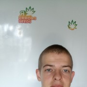  ,   , 28 ,  