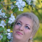  ,   , 55 ,     , c 