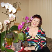 ���������� ��������, ���� ������� ����, 67 ���, ������������ ��� ������, ����� � ���������, c�������� ���������