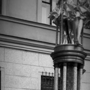 ���������� �����, ���� ������� �����, 34 ����, ������������ ��� ������