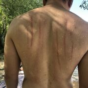 ���������� �������, ���� ������� �����, 33 ����, ������������ ��� ������, ����� � ���������