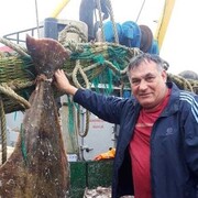 ���������� ���������, ���� ������� ����, 63 ����, ������������ ��� ������, ����� � ���������, c�������� ���������