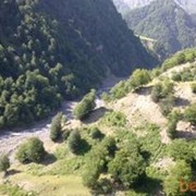 ���������� ����, ���� ������� A B W, 36 ���, ������������ ��� ������