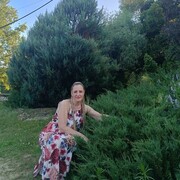   ,   , 40 ,   c 