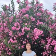 ���������� ������, ���� ������� �������, 59 ���, ������������ ��� ������, ����� � ���������