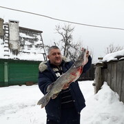 ���������� ������, ���� ������� �����, 56 ���, ������������ ��� ������, ����� � ���������, c�������� ���������