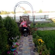  ,   , 30 ,   ,   