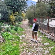  ,   , 26 ,   ,   