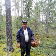  ,   , 55 ,   