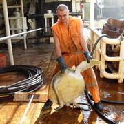 ���������� �������, ���� ������� San4elas, 40 ���, ������������ ��� ������, ����� � ���������, c�������� ���������