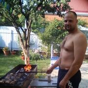 ���������� �����������, ���� ������� ����, 41 ���, ������������ ��� ������, ����� � ���������