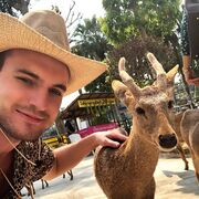 ���������� ������, ���� ������� �����, 38 ���, ������������ ��� ������, ����� � ���������