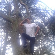 ���������� �������, ������� �������, 40