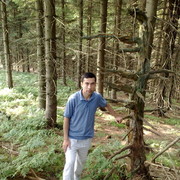  ,   , 43 ,   ,   , c , 