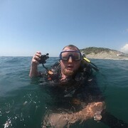 ���������� ���������, ���� ������� ������, 36 ���, ������������ ��� ������, ����� � ���������, ���������