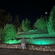 ���������� ������, ���� ������� �����, 29 ���, ������������ ��� ������, ����� � ���������, c�������� ���������, ���������