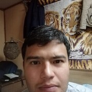 ���������� ���������, ���� ������� ������, 36 ���, ������������ ��� ����� � ���������, c�������� ���������