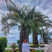 ���������� �����������, ���� ������� ��������, 63 ����, ������������ ��� ����� � ���������, c�������� ���������