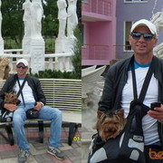  ,   , 53 ,   