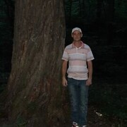  ,   , 38 ,     , c 