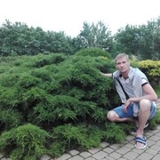 ���������� ������, ���� ������� ���������, 43 ����, ������������ ��� ������, ����� � ���������, c�������� ���������