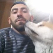 ���������� ������, ���� ������� VARDAN, 33 ����, ������������ ��� ������, ����� � ���������, c�������� ���������