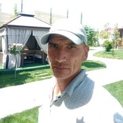  ,   Akbar, 20 ,   ,   